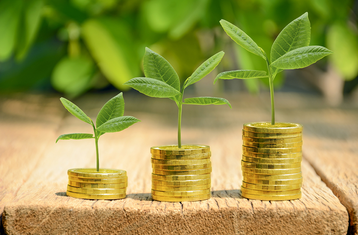Investment, money, interest and financial concept.