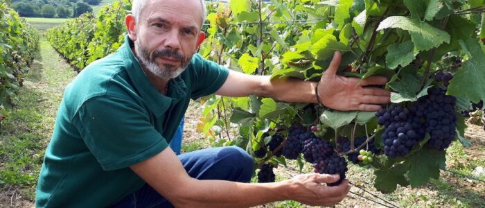 Aisne - la maison de Champagne Météyer récompensée par l&rsquo;UNESCO 3