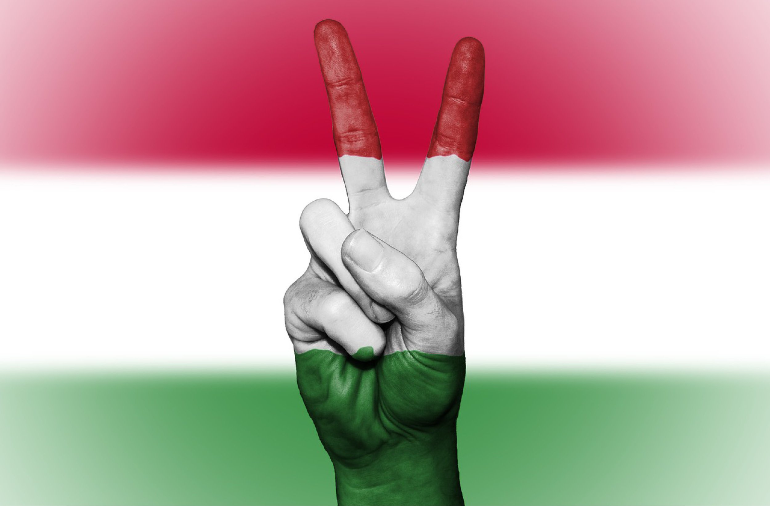 Hongrie, Pologne, R&eacute;publique tch&egrave;que et Slovaquie : quelles opportunit&eacute;s ?