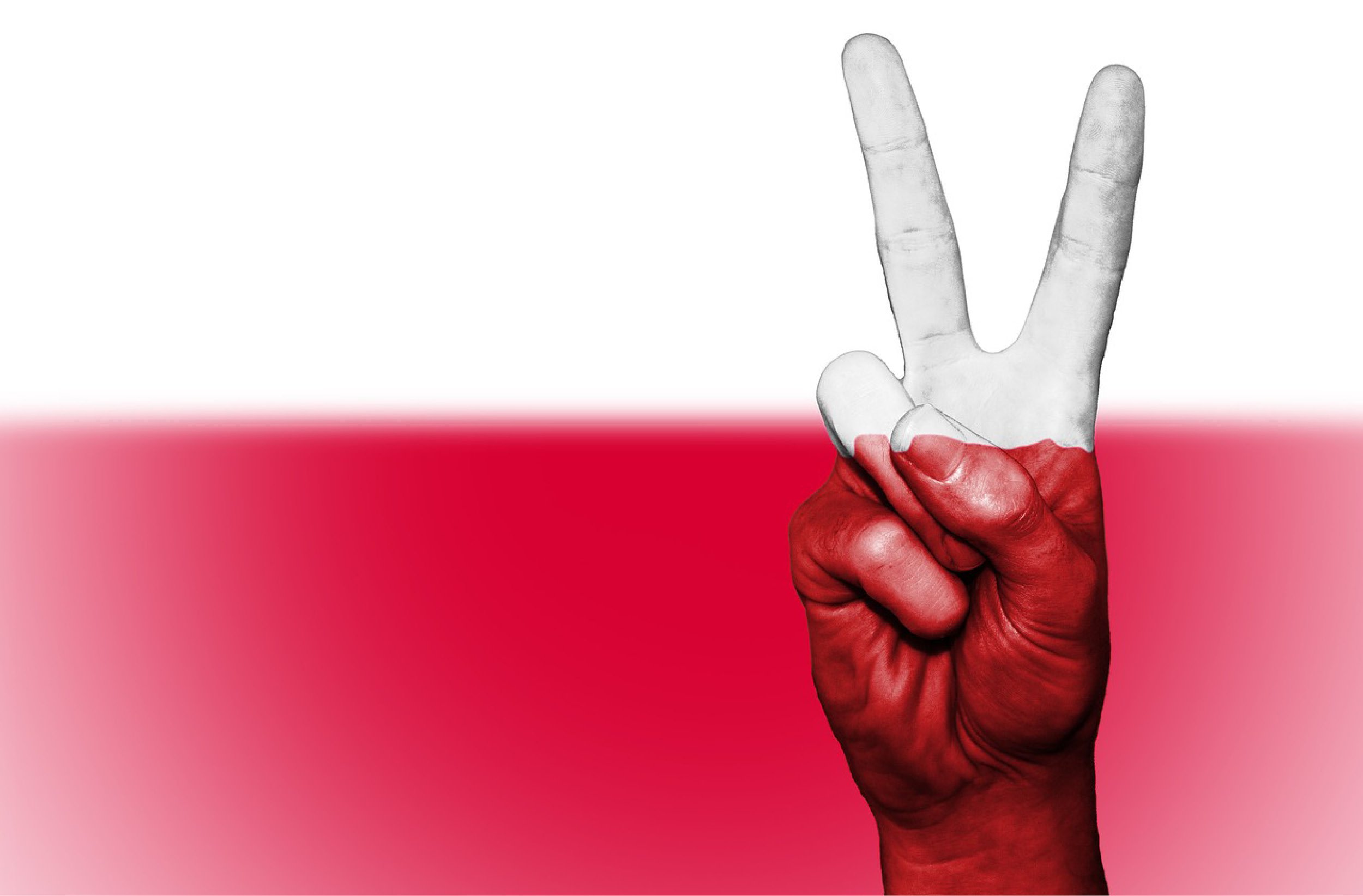 Hongrie, Pologne, R&eacute;publique tch&egrave;que et Slovaquie : quelles opportunit&eacute;s ?