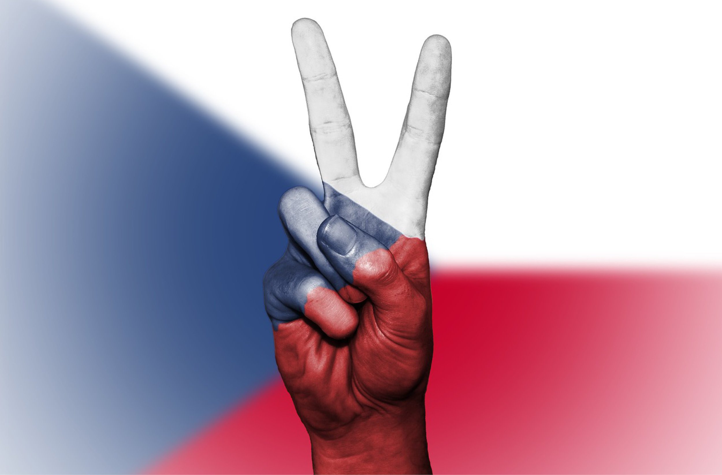 Hongrie, Pologne, R&eacute;publique tch&egrave;que et Slovaquie : quelles opportunit&eacute;s ?