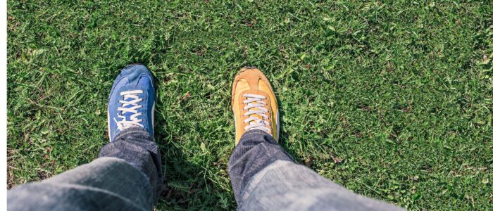 Transmission reprise : les &eacute;tapes-cl&eacute;s